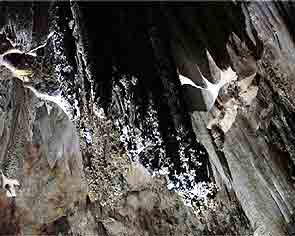 Caves of Nerja - Cueva Nerja 297